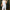Dames jumpsuit met V-hals en tailleaccent – Ylva