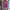 Tweedelige dames set met asymmetrische top en broek – Lisa
