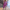 Tweedelige dames set met asymmetrische top en broek – Lisa