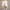 Off-Shoulder Gebreide Trui met Elegante Pasvorm – Sophie
